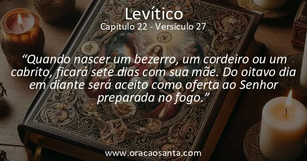 Levítico 22:27