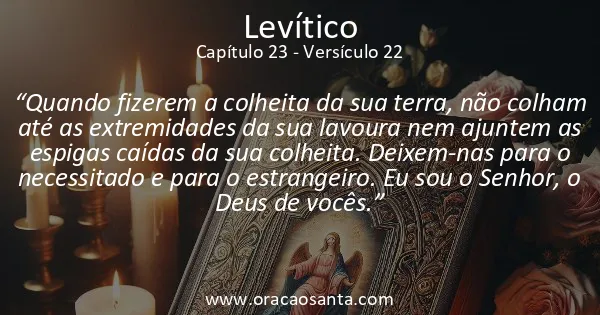 Levítico 23:22