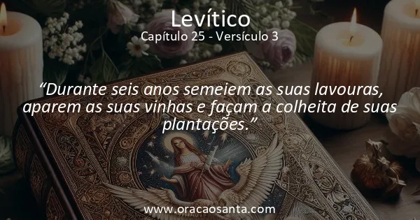 Levítico 25:3
