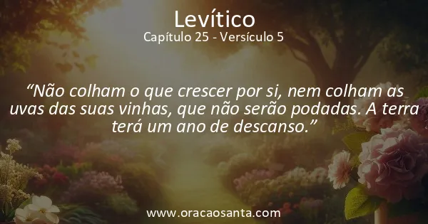 Levítico 25:5