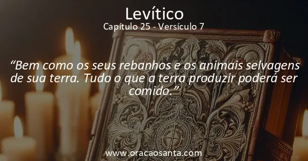 Levítico 25:7
