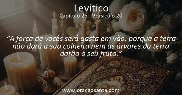 Levítico 26:20