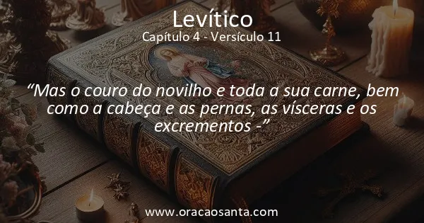 Levítico 4:11