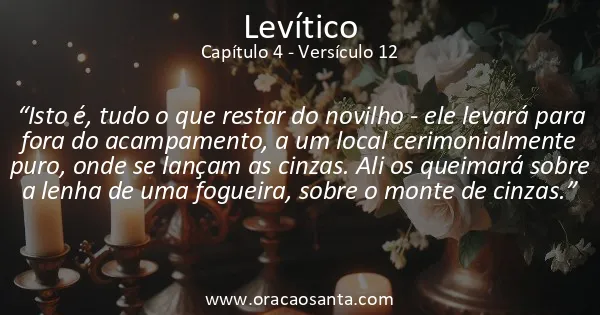 Levítico 4:12