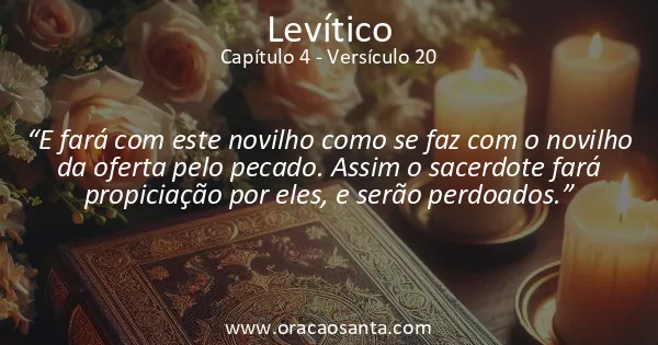 Levítico 4:20