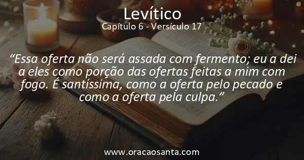 Levítico 6:17