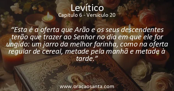 Levítico 6:20