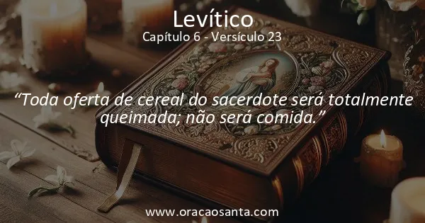 Levítico 6:23
