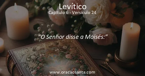 Levítico 6:24