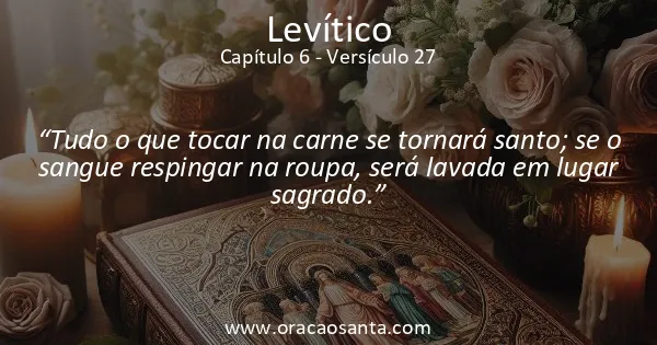 Levítico 6:27