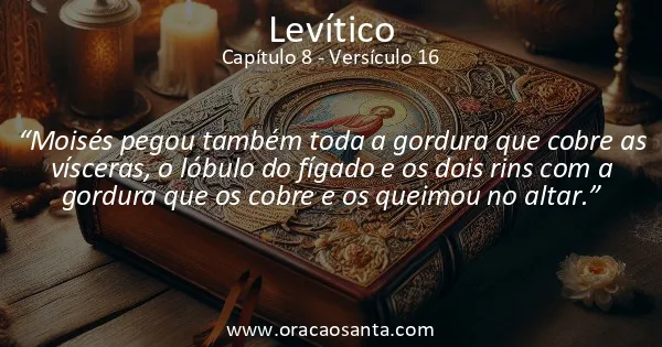 Levítico 8:16