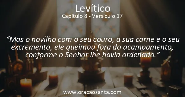 Levítico 8:17