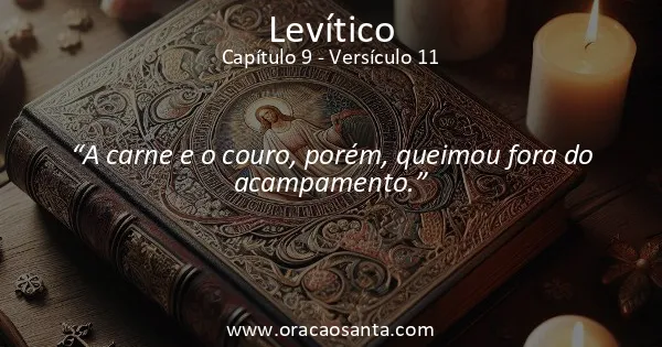 Levítico 9:11