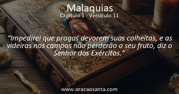 Malaquias 3:11