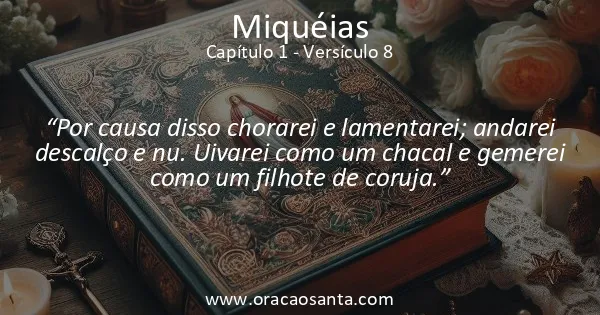 Miqueias 1:8