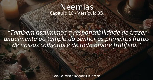 Neemias 10:35