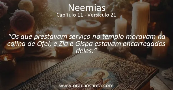 Neemias 11:21