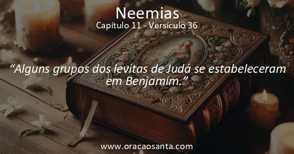 Neemias 11:36