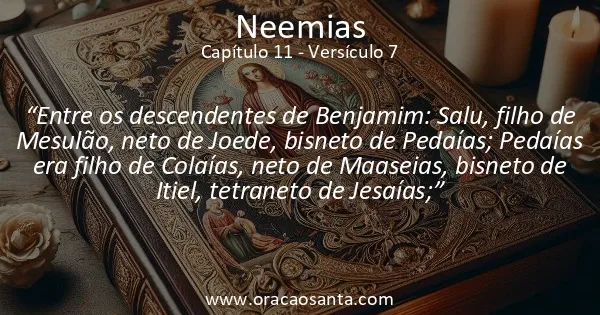 Neemias 11:7
