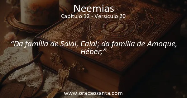 Neemias 12:20