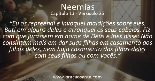 Neemias 13:25