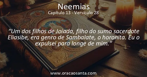 Neemias 13:28