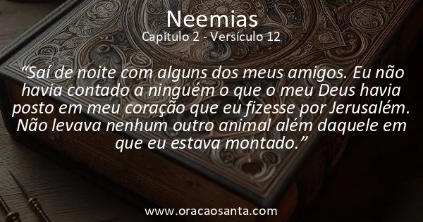 Neemias 2:12