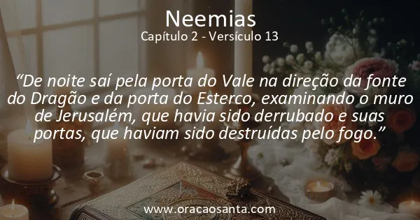 Neemias 2:13