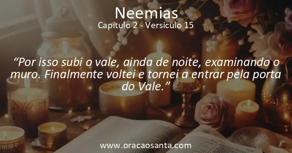 Neemias 2:15