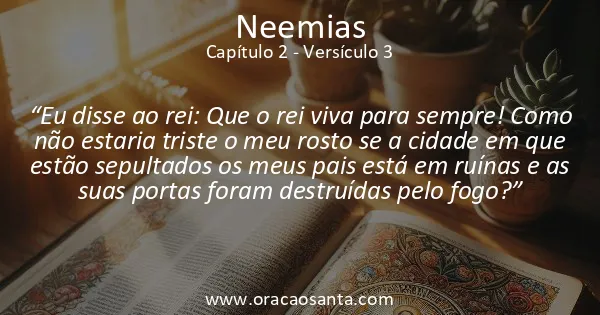 Neemias 2:3