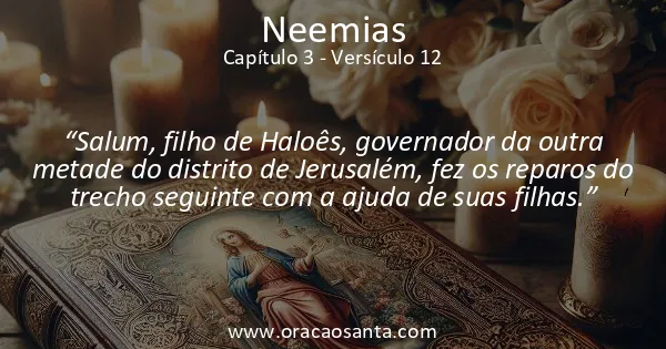 Neemias 3:12