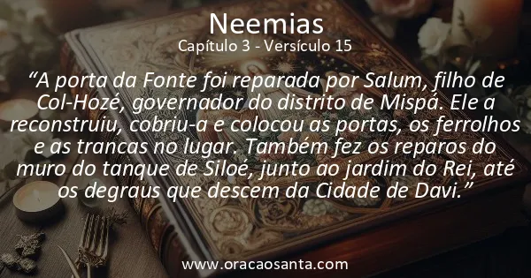 Neemias 3:15