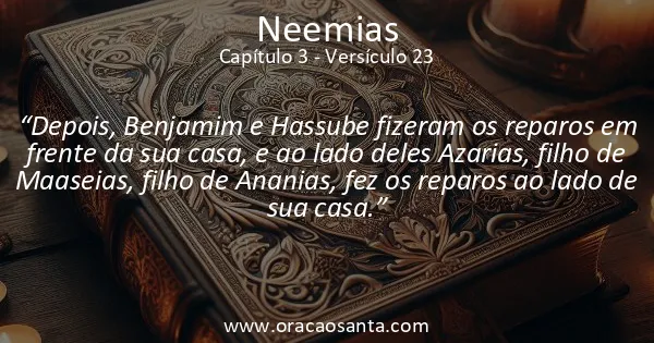 Neemias 3:23