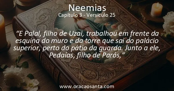 Neemias 3:25
