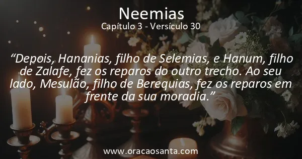 Neemias 3:30