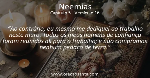 Neemias 5:16
