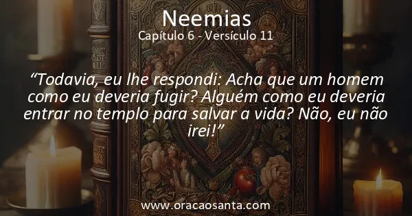 Neemias 6:11