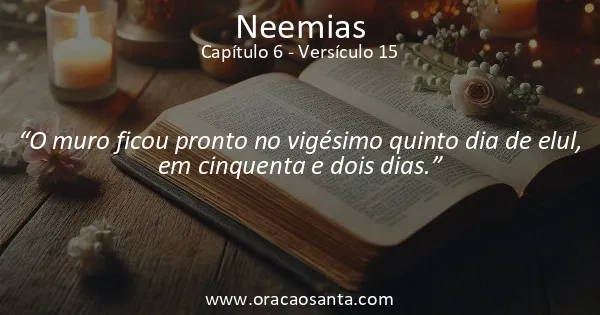 Neemias 6:15