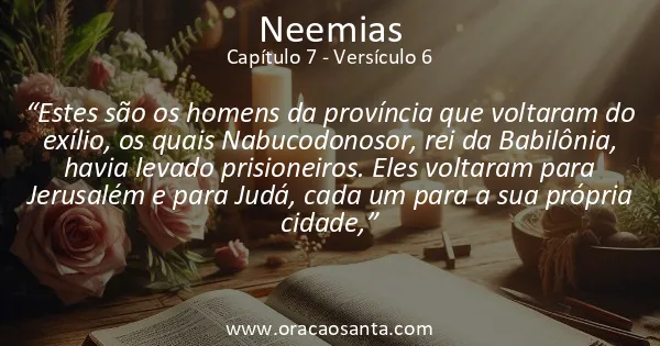 Neemias 7:6
