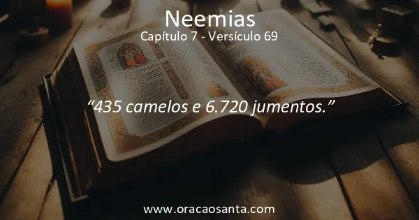 Neemias 7:69