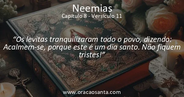 Neemias 8:11