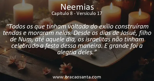 Neemias 8:17