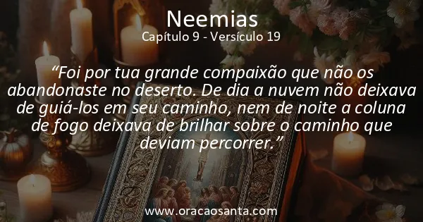 Neemias 9:19