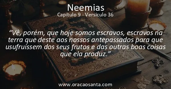 Neemias 9:36