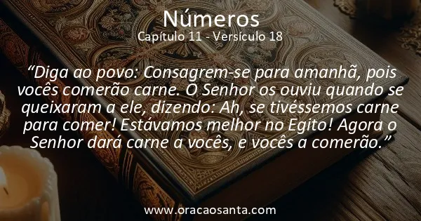 Números 11:18