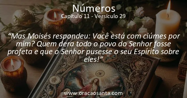 Números 11:29