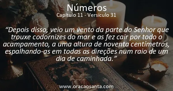 Números 11:31