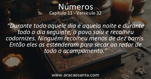 Números 11:32