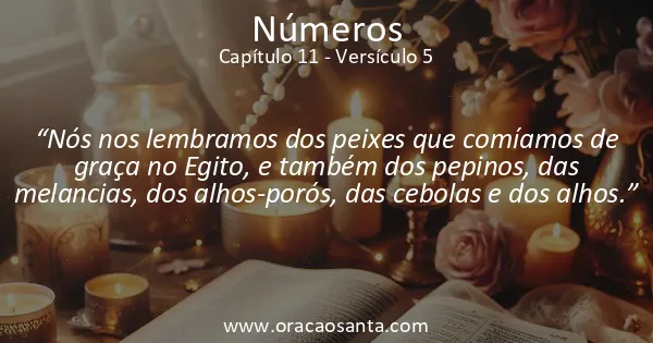 Números 11:5