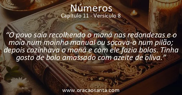 Números 11:8